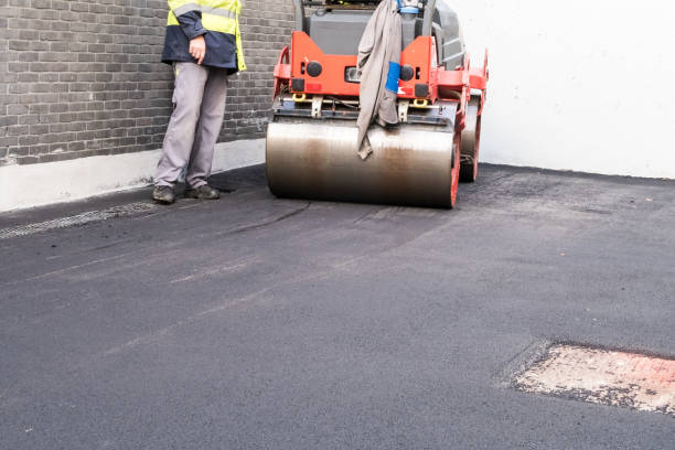 Best Driveway Drainage Solutions  in University Heights, OH